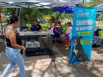 Inaugura Ayuntamiento de Colima Primera Feria “Mundo de las Mascotas”, en el Jardín Núñez