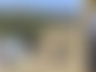 Localizan cuatro fosas clandestinas y recupera cuatro cuerpos en el municipio de Comala