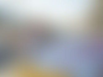 Respaldan taxistas a Sofía Peralta para llegar al Congreso del Estado