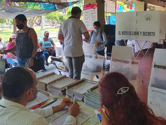 Forma parte del IEE Colima: participa para ser la coordinadora de Organización Electoral o de Participación Ciudadana