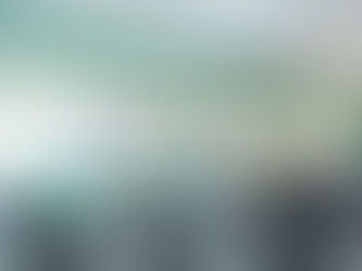 Lo esencial de una agenda verde es el vínculo con la comunidad: R. Thomas