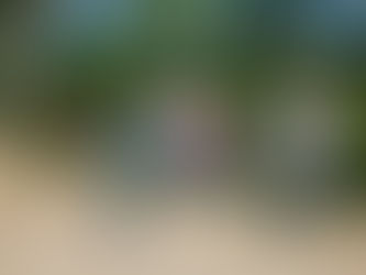 Lleva Ayuntamiento de Manzanillo programa de resolución de conflictos vecinales a comunidades