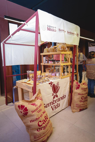 Abren Sembrando Vida y Procuraduría Agraria camino para dar certeza jurídica sobre la tierra a mujeres 