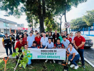 Gobierno de Riult Rivera convierte el camellón de la Av. 20 de Noviembre en un “Camellón Polinizador”