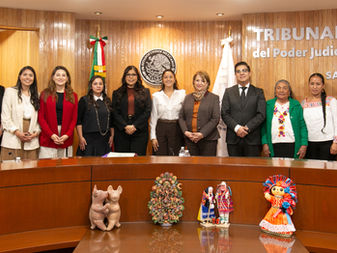 Proponen metodología para incorporar la perspectiva de género en las sentencias del TEPJF