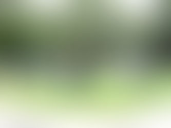 Realizan poda en los cinco jardines de Real Hacienda