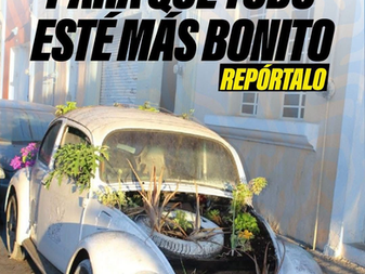 Exhorta comuna capitalina a reportar vehículos abandonados en la vía pública