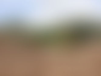 Rehabilita ayuntamiento de VdeÁ puente y camino que comunica al Mixcoate y Pueblo Nuevo