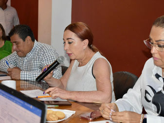 Explica Tey Gutiérrez en el Congreso la Ley de Ingresos de VdeÁ para 2023