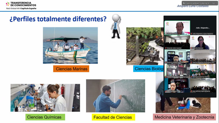Química, puente entre disciplinas científicas y la vida cotidiana: especialista