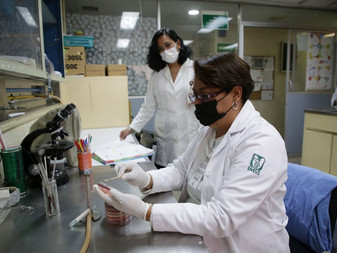 Por primera vez IMSS realiza una licitación para otorgar licencia para el uso y explotación de paten