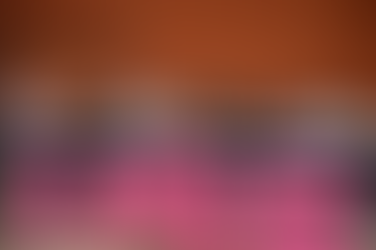 INE Colima articula esfuerzos interinstitucionales para atender las voces de infancias y juventudes