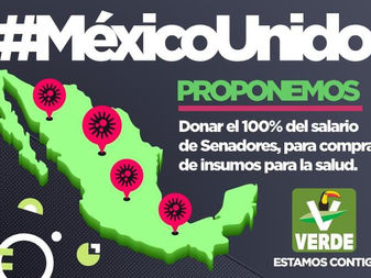 Proponen Senadores del PVEM donar el 100% de su salario para comprar insumos de salud necesarios en