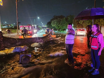 Tres árboles caídos y un socavón ‎el saldo de lluvia sabatina en VdeÁ