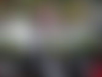Diastema comparte sus sueños de amor, en el IUBA