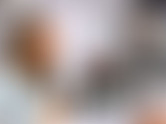 No habrá recolección de basura en navidad y año nuevo: Margarita Moreno