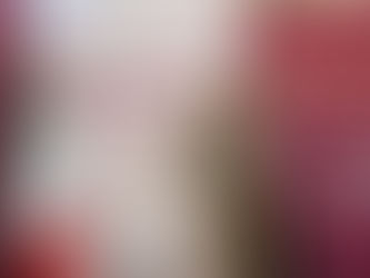 AMLO firma Decreto de Estímulos Fiscales para Región Frontera Norte, inicio de Zona Libre el 1° de e