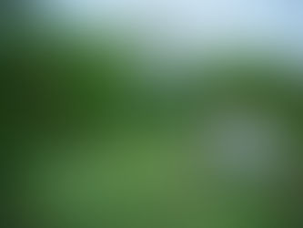 La mayoría del Cabildo aprueba beneficiar a 4 mil manzanillenses de Campos y Villa Florida