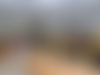 Egresan 90 nuevos ingenieros agrónomos de la Universidad de Colima, en el Campus Tecomán