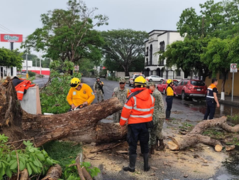 Ayuntamiento de Colima atiende de forma oportuna incidencias en Av. 20 de Noviembre, Placetas Estadio e Ignacio Sandoval