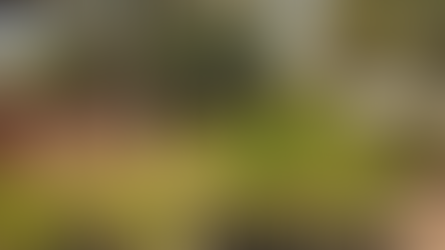 El Vivero Municipal de Colima: Un Pulmón Verde para la Ciudad