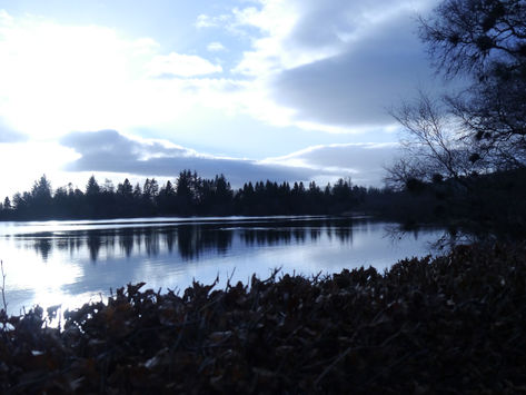 Halfway to Springtime