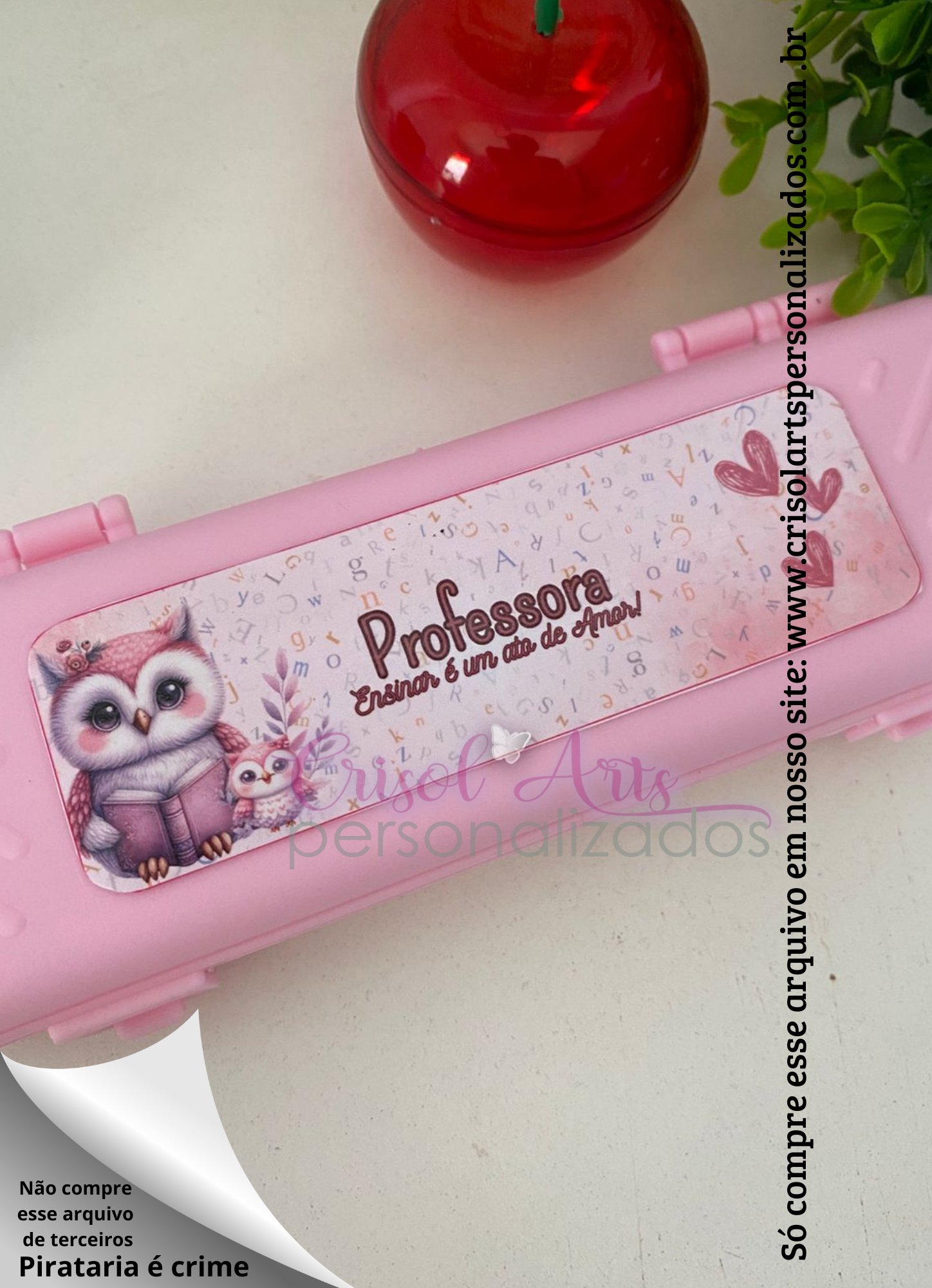 Adesivo estojo corujinha rosa dia dos professores
