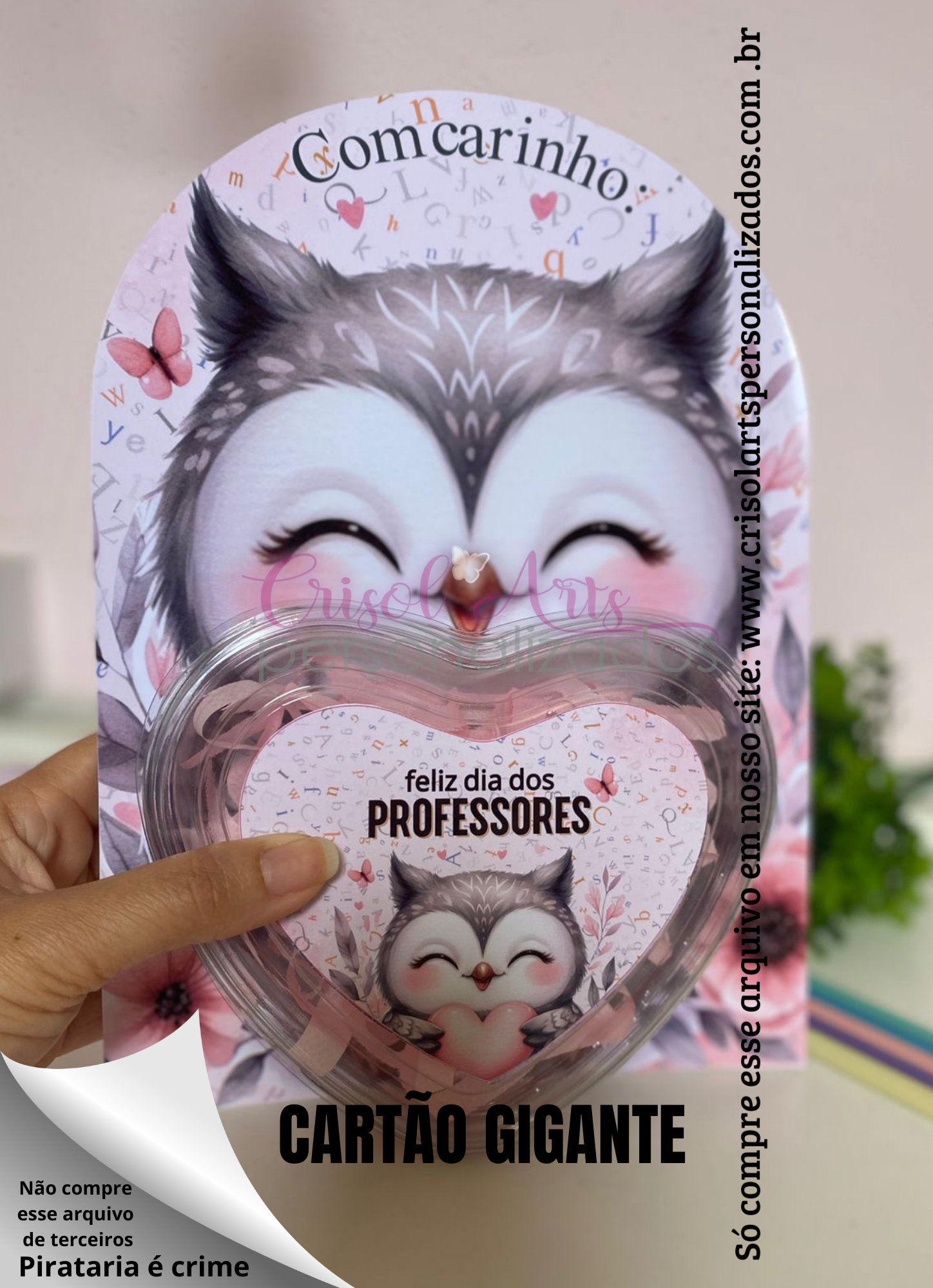 Kit cartão GIGANTE corujinha