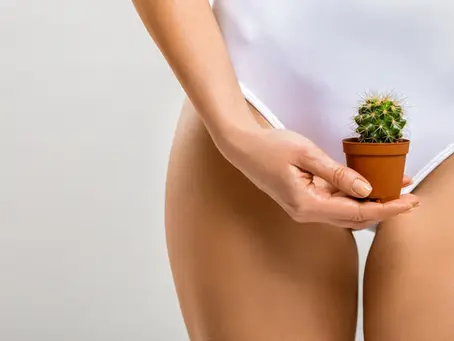 Let's Talk Wax: Your Ultimate Guide to Warner Robins' Waxing