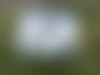 ISPRAVLJANJE PRAVOPISNIH GREŠAKA PO JARAMA