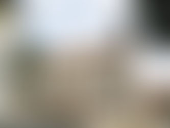 NE VALJA ČUDO NI KLEČAT