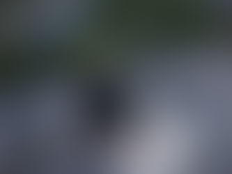 STVARNOST NEOVISNE KUJE