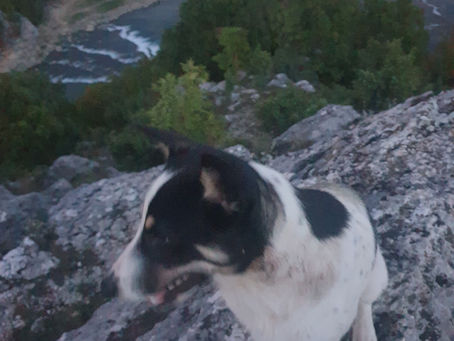 STVARNOST NEOVISNE KUJE