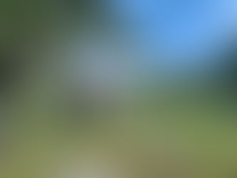 SPASOVO NEKAD I DANAS