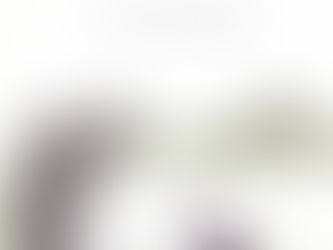 INTO THE WILD - DVIJE GODINE