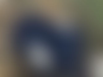 LIMUNI I DOBAR ŽIVOT