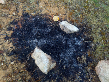 LIMUNI I DOBAR ŽIVOT