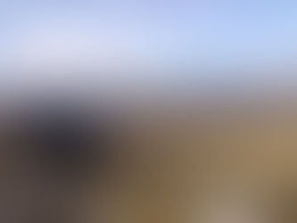 BESTIJALAN ŽIVOT NE VIDI LJEPOTU