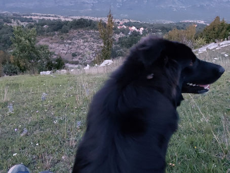 ŠTO RADITI KAD SI U SAMOIZOLACIJI U VRLICI?