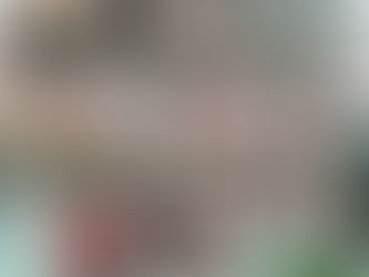 KUĆA VAM JE U POLURASPADU?