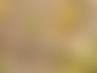 PRODOR CIVILIZACIJE U VRLIKU