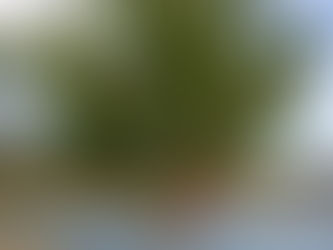 KAKO SPRIJEČITI ZIMSKI SAN U VRLICI