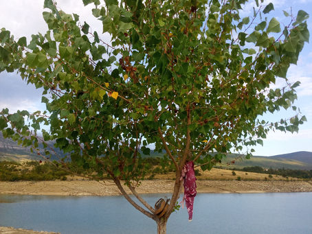 KAKO SPRIJEČITI ZIMSKI SAN U VRLICI