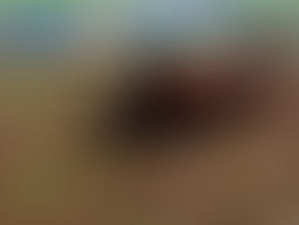 OD BRAČA DO DABRA – IGROM DO USPJEHA