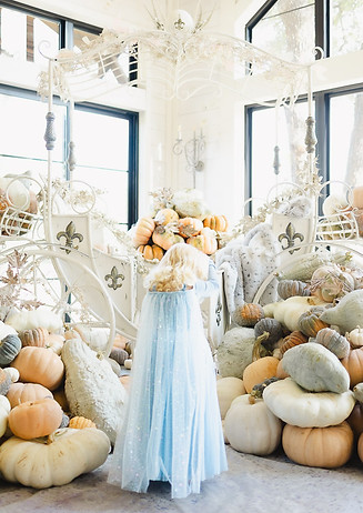 Argyle Pumpkin Patch.jpg