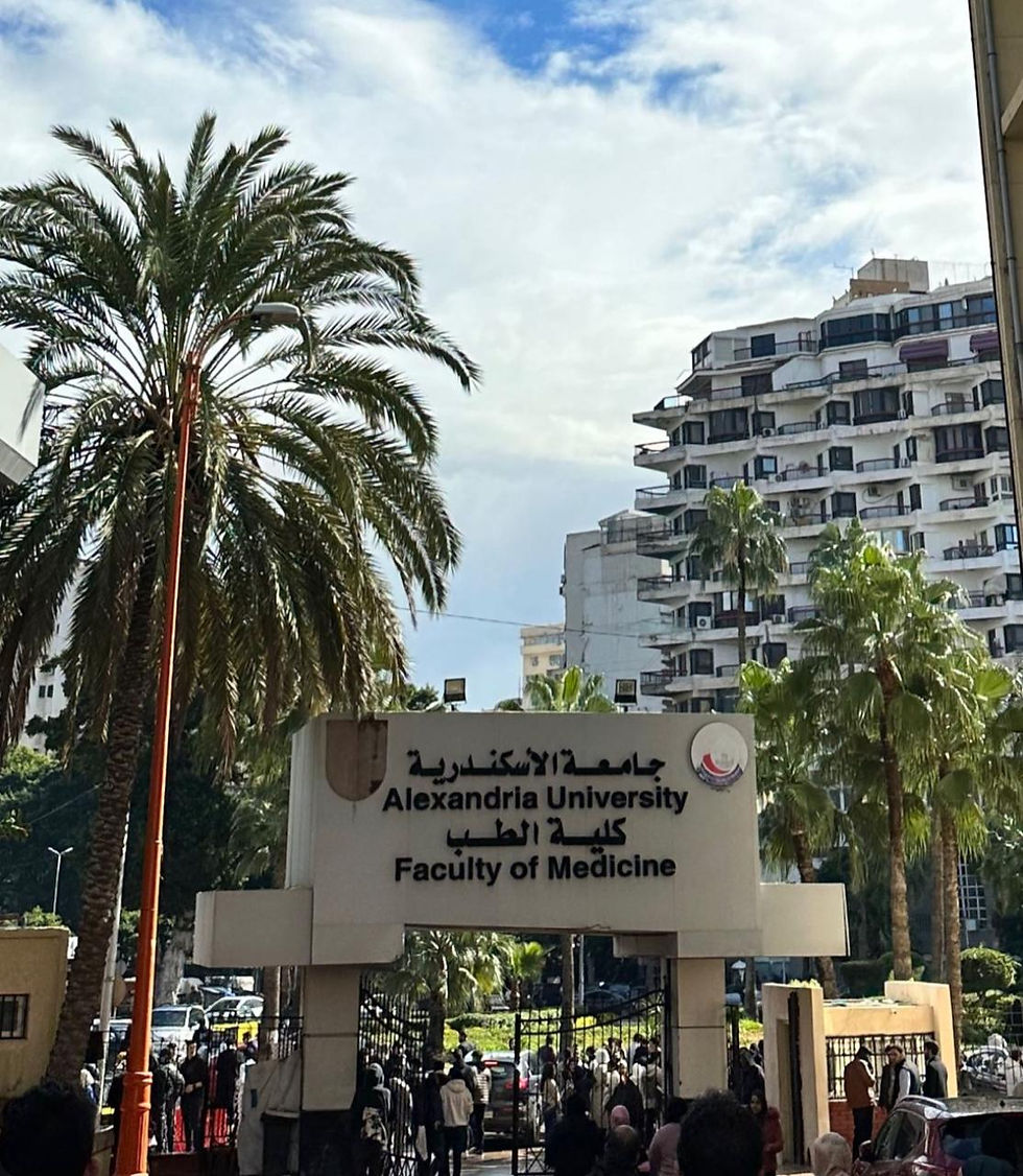 جامعة الاسكندرية