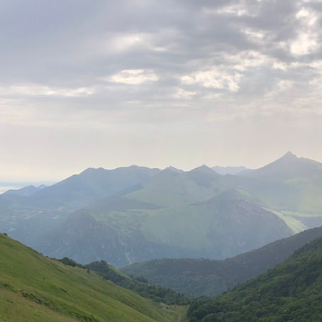 La naturopathie et le sevrage tabagique : retrouver l'équilibre