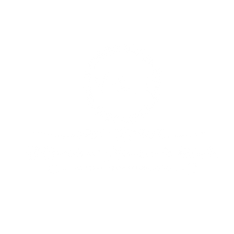 Vernecia Jones Logo 1 (1).png