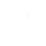 11.png