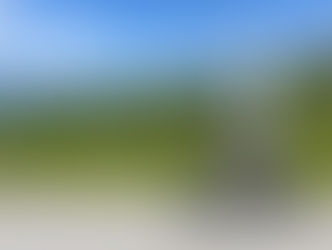 A Bumpy Year, and What It Taught Me About Resilience